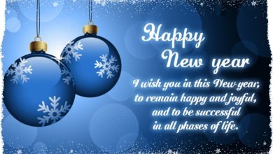 Happy New Year Wish Massage 2025